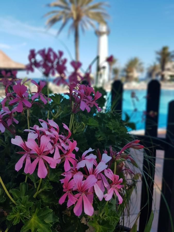 Апартаменти Ocean Bliss Playa Del Aguila  Екстер'єр фото